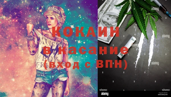 ГАЛЛЮЦИНОГЕННЫЕ ГРИБЫ Аркадак