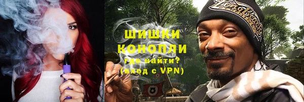 прущие грибы Инсар